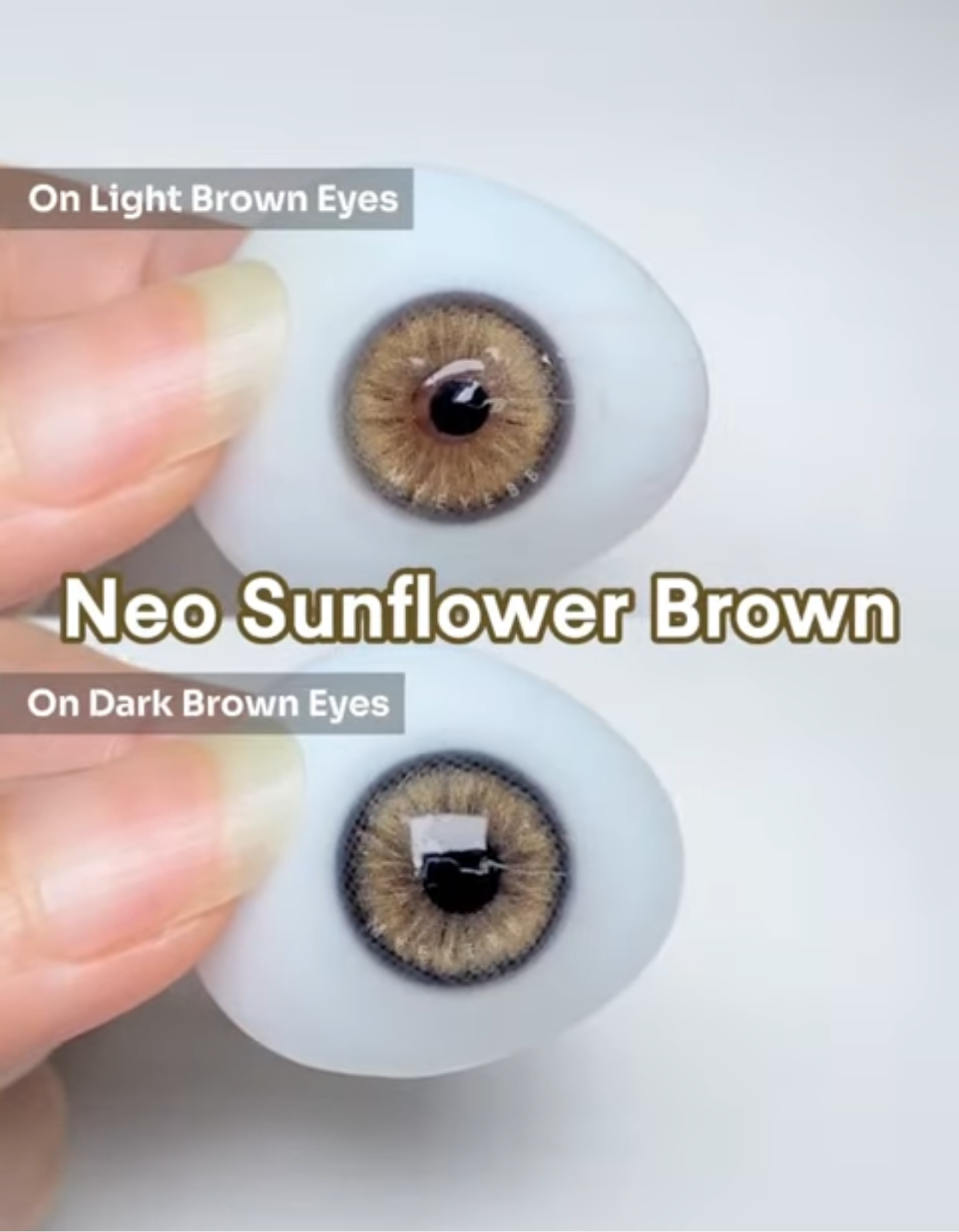 Neo Sunflower