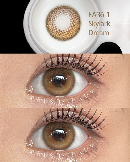 Skylark Dream Brown