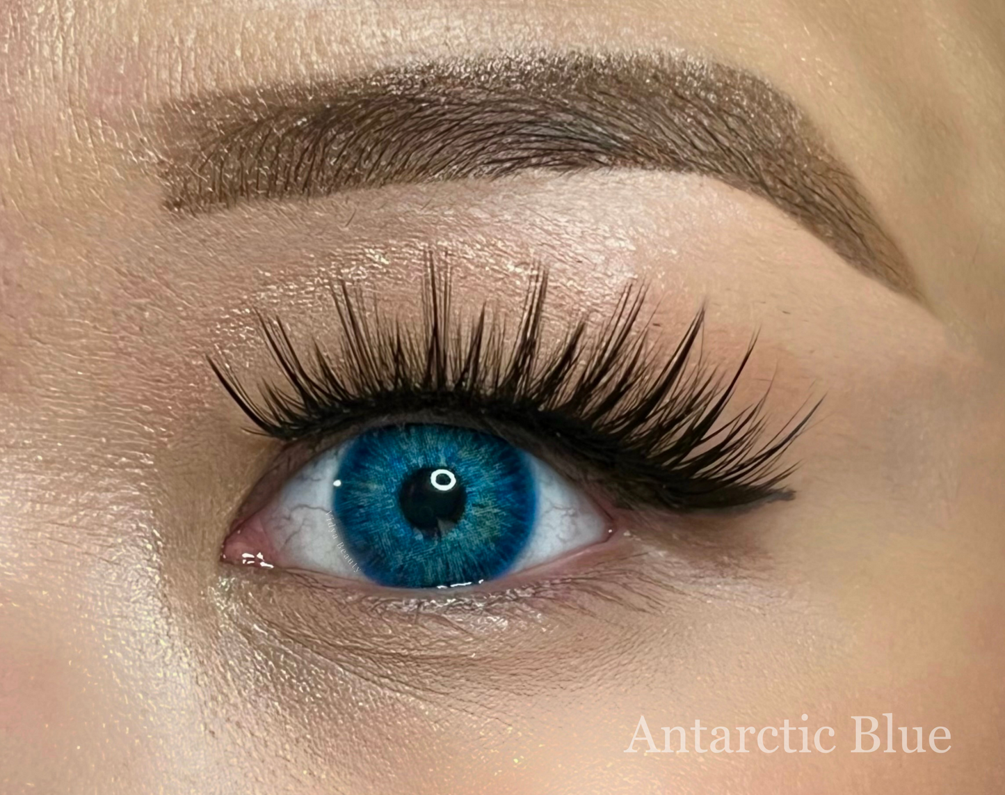 Antarctic Blue