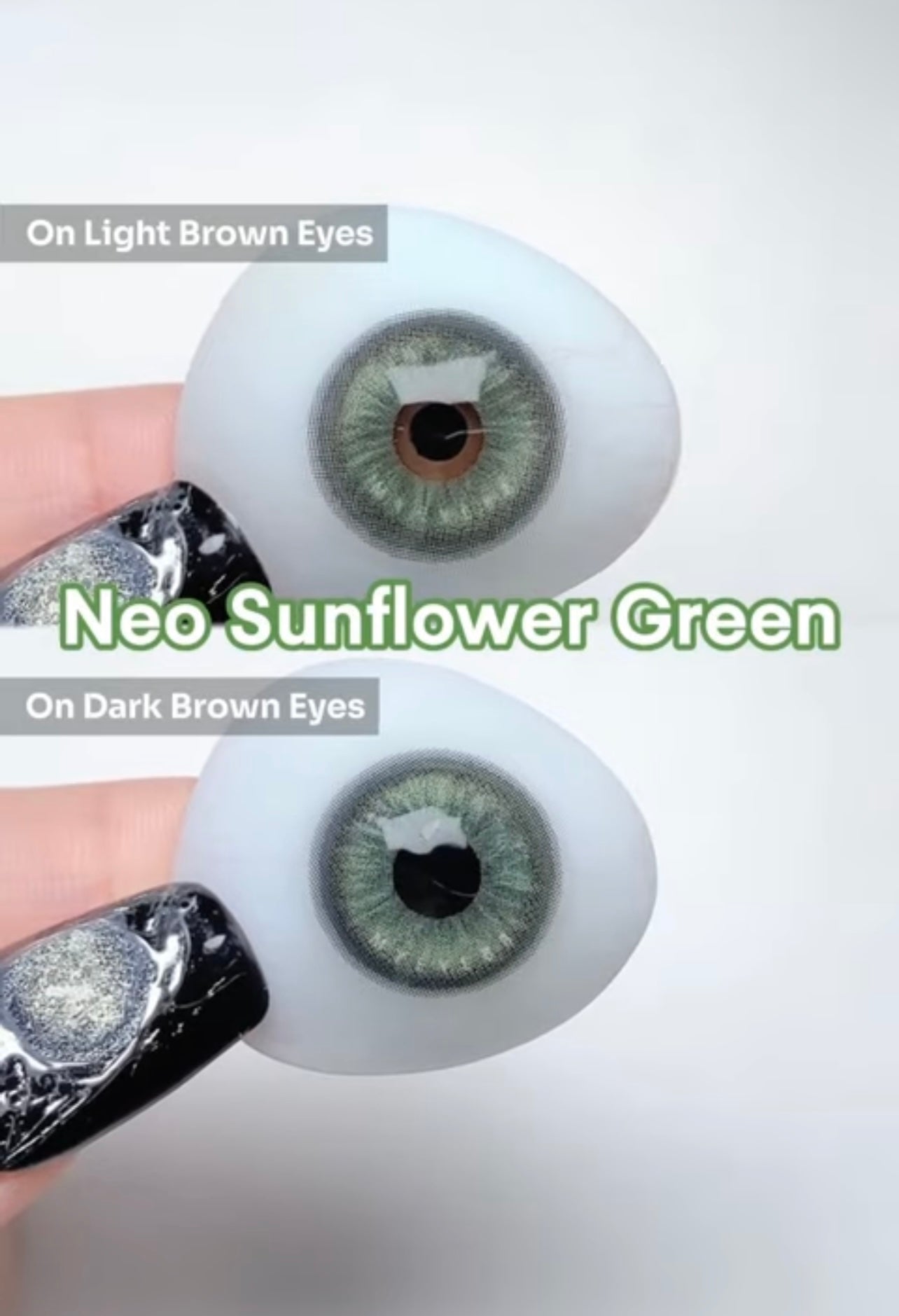 Neo Sunflower