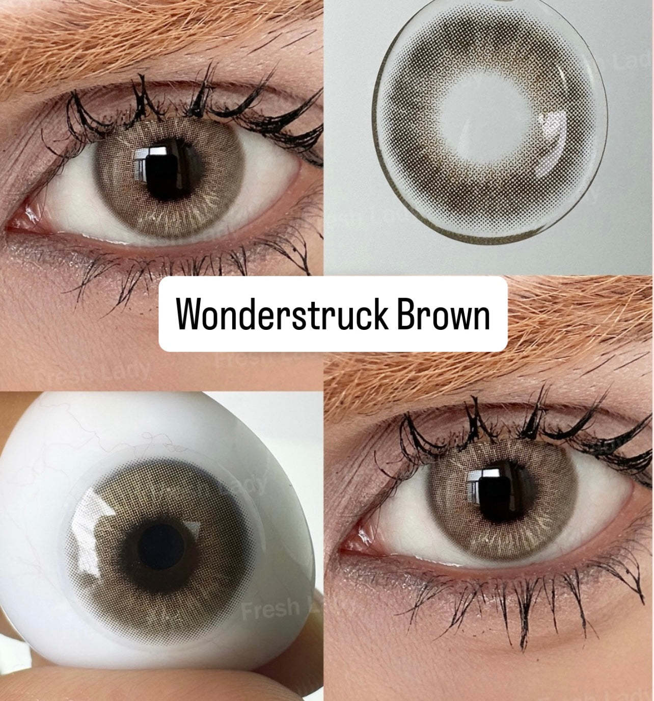 Wonderstruck Brown