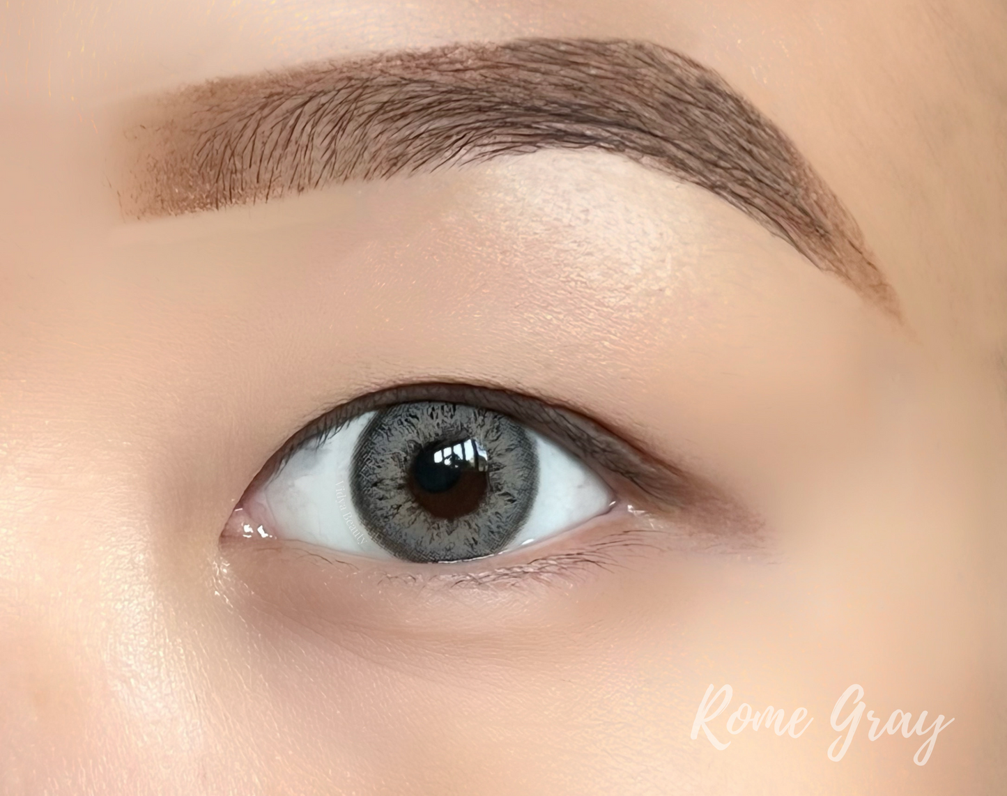 Rome Gray