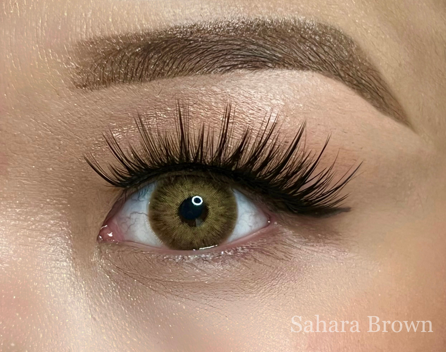 Sahara Brown